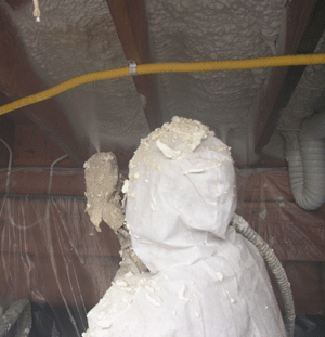   crawl space insulation